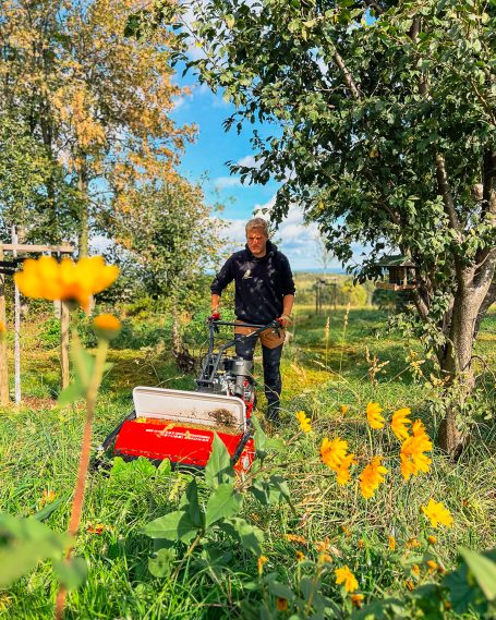 Streuobstwiesenpflege – naturnah, nachhaltig und von Hand gemacht Mitarbeiter mit Mulcher bei der Pflege einer blühenden Streuobstwiese