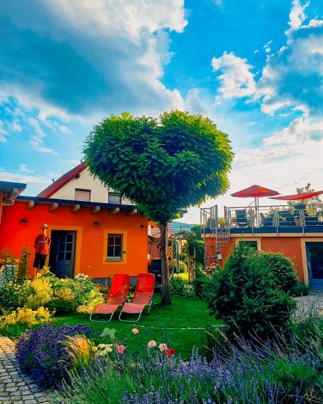 Baumpflege mit Charakter – Formschnitt für besondere Akzente im Garten Herzförmig geschnittener Baum im gepflegten Garten vor orangefarbenem Wohnhaus