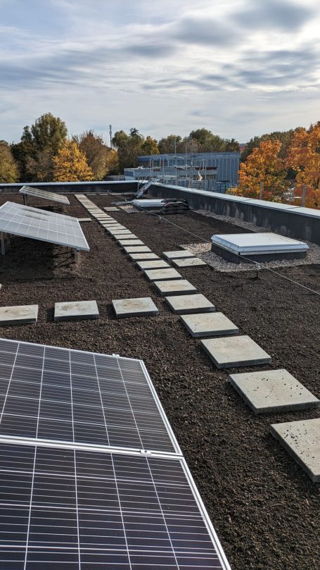 Grüne Energie – Kombination aus Dachbegrünung und Photovoltaik Dachbegrünung mit aufgeständerten Solarpaneelen im Herbst